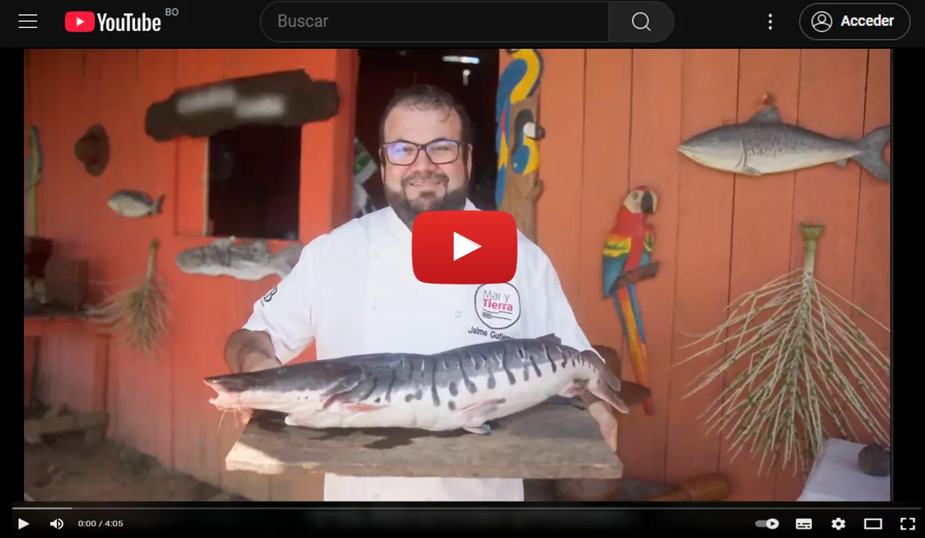 Vista previa del video